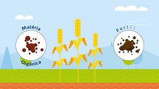 A importância do Nitrato de Amônio para a Produção de Alimentos [upl. by Namref]