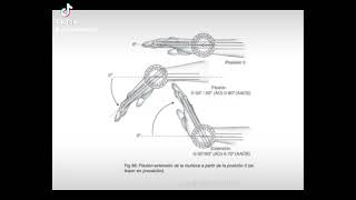 Goniometria de la muñeca [upl. by Ivor142]