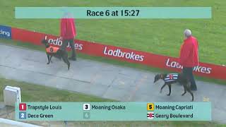 Crayford Greyhounds Races on 29th March 2024 [upl. by Aiciruam26]