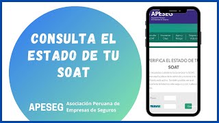 ¿Cómo CONSULTAR el ESTADO DE TU SOAT por PLACA en PERÚ   APESEG [upl. by Onailime]