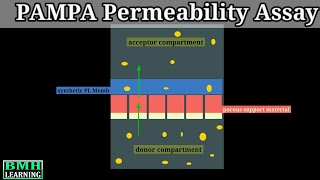 PAMPA Permeability Assay  Permeability Measurement In Caco 2 Cells [upl. by Arza]