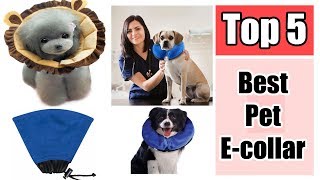 The Top 5 Best Pet E collar Reviews [upl. by Goodard]