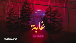 Hedi lartiste  Ghaba Visualizer [upl. by Yeslek891]