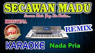 Secawan Madu Remix Karaoke Artis HD Audio Nada Pria [upl. by Brotherson]