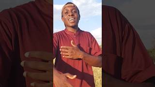 PORT ANTONIO FREESTYLE 🇿🇲🎥 rap hiphop [upl. by Vikky]