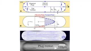 Multiphase CFD for Droplet Based Microfluidics [upl. by Haik]