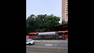 É ASSIM QUE FUNCIONA O BRT DE CURITIBA ÔNIBUS BIARTICULADO [upl. by Atnek261]