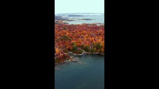 Cottage Life Muskoka Fall Colors shorts [upl. by Carlock]