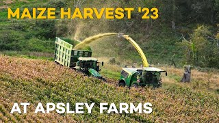 Maize Harvest 2023  Apsley Farms [upl. by Aierb]