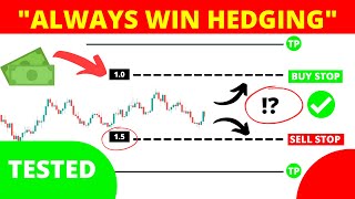 I TESTED Hedging Trading Strategy with an EA  Scalping Trading Strategy  100 Win Rate Strategy [upl. by Lysander27]