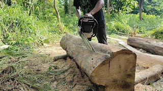 Process making for board size 2cm × 16cm × 168cm Using Stihl ms382 Super Chainsaw [upl. by Reagen]