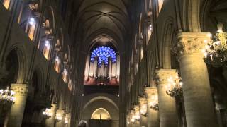 Récital dorgue à Notre Dame de Paris Yves Castagnet [upl. by Arremat]