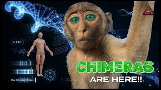 Glowing Fingertips And Green Eyes FirstofItsKind Monkey Chimera Born in China TheCosmosNews [upl. by Idalia945]