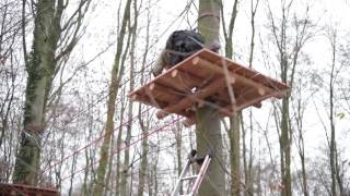 3 neue Parcours im Kletterwald Haltern [upl. by Siriso342]