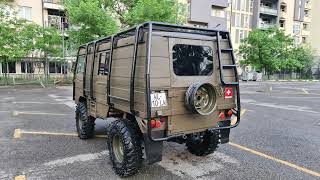 pinzgauer 710 [upl. by Merriman]