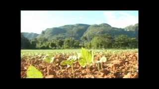 Vinales Valley Cuba [upl. by Ekusoyr111]