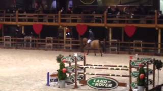 Cliff Z by Canturano 7 yrs old Gelding [upl. by Archle]