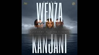 Wenza Kanjani feat Gator Groover ShakaMan YKTV amp Muziqal Tone [upl. by Anders]