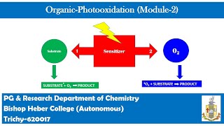 Organic Photooxidation Reaction I Module2 I Organic Photochemistry [upl. by Modie]