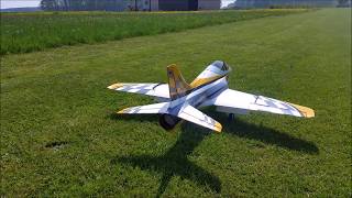 Klappen Problem Freewing Avanti S [upl. by Catt]