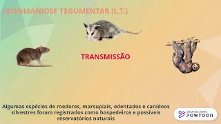 Zoonoses em 1 minuto Leishmaniose Tegumentar [upl. by Ttemme]