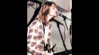 Nirvana  Downer imaginary 1994 live performance [upl. by Ylac]