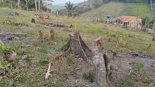 CONSTRUINDO APRISCO DOS CARNEIROS TUDO FEITO COM A ORIGINALIDADE DA NATUREZA [upl. by Ragas]