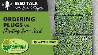 Seed Talk 112  Ordering Plugs vs Starting from Seed [upl. by Elurd]