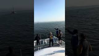 Boat tour of Walvis Bay Namibia 🇳🇦 [upl. by Aniri]