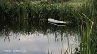 Nikon D7000 Video Summer Day [upl. by Eduj]