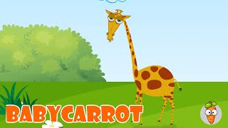 The Giraffe  Songs For Kids  Nursery Rhymes [upl. by Elena]