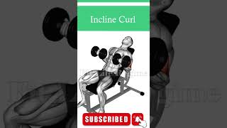 Long Head Bicep Dumbbell Exercises [upl. by Braun]