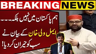 ANP Chief Aimal Wali Khans Statement Surprised Hamid Mir  Capital TV [upl. by Salis]