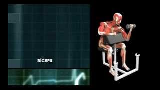 Exercicios Ombro para pacientes com Artrite AcromioClavicular [upl. by Zonnya]