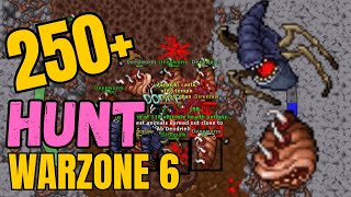 RUBINOT  HUNT WARZONE 6 EK 250 200K DE PROFIT HUNT ALTERNATIVA MUITO BOA  TIBIA [upl. by Aivilys]