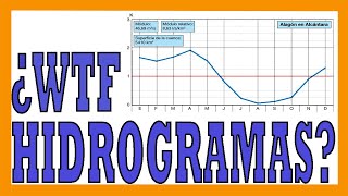 ✅✅¿Cómo ENTENDER los HIDROGRAMAS [upl. by Elamaj]