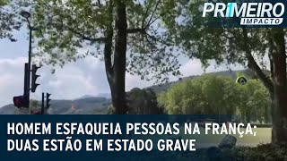 Quatro crianças e um adulto são esfaqueados em parque na França  Primeiro Impacto 080623 [upl. by Flemings]