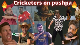 Pushpa mania on cricketers over the globe pushpa fire [upl. by Slemmer]