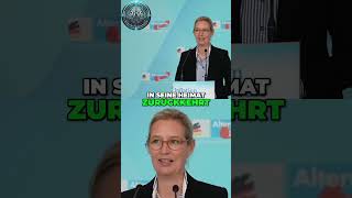 Alice Weidel Sozialbetrug oder Sozialtourismus Die Wahrheit Aufdecken [upl. by Aleicarg]