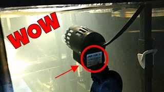 Sun sun mini wave maker review  Cheap aquarium circulation pump under 10 [upl. by Drofnelg971]