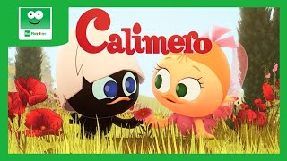 Calimero 🐣  Stagione 1  Episodi 2  Cartoni Animati  I bignè di Priscilla  Rai Yoyo [upl. by Herbst]