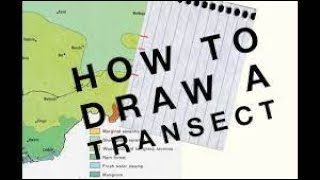 GEOGRAPHY PAPER 3 ACTUAL FIELD WORK DRAWING A LINE TRANSECT OR RELIEF SECTION FOR FIELD STUDY [upl. by Nettie]