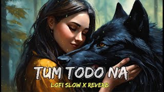 Tum Todo Na Dil Mera  Lofi slow amp Reverb song  Female Version [upl. by Ardnasac]