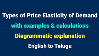 Types of price elasticity of demand  Economics  examples  calculations  by Learn with Ravali [upl. by Sillig]