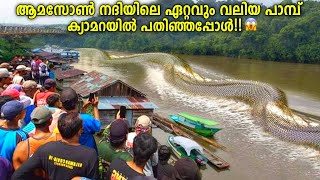 ആമസോണിലെ ഏറ്റവും വലിയ പാമ്പ്😱🐍Biggest Snakes Caught On Camera Malayalam  Storify [upl. by Noet804]