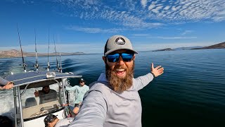 Swimming with Whale Sharks in Remote Mexico [upl. by Ora225]