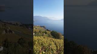 Swiss Lavaux [upl. by Walden]