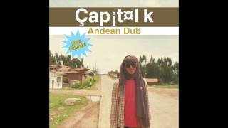 Capitol K ‎– Andean Dub 2012 FULL ALBUM [upl. by Sharma]