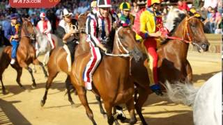 Spectacular Horse Race Palio di Siena  FrancigenaWayscom [upl. by Cullen]