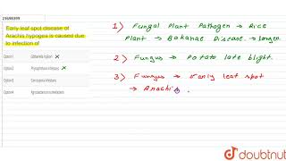 Early leaf spot disease of Arachis hypogea is caused due to infection of [upl. by Einaeg2]